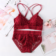 Sexy lingerie bra - Laizhan Accessories 