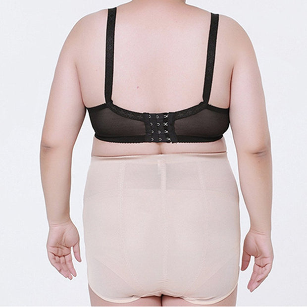 High Waist Plus Size Shaping Panty - Laizhan Accessories 