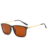 Driving polarized glasses - Laizhan Accessories 