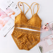 Sexy lingerie bra - Laizhan Accessories 