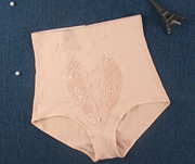 High Waist Plus Size Shaping Panty - Laizhan Accessories 